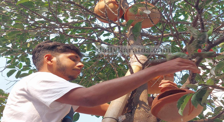 পরিবেশের ভারসাম্য রক্ষায় গাছে গাছে মাটির হাঁড়ি ঝুলিয়ে দিয়েছে স্বেচ্ছাসেবীরা