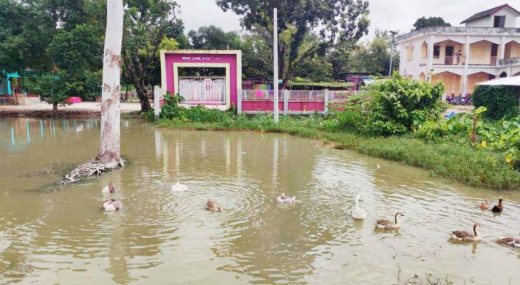 দিনাজপুরের চিরিরবন্দরে বিদ্যালয়ের মূল ফটকের সামনে পুকুর