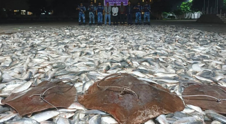 ভোলায় অভিযানে তিন ট্রাক জাটকা আটক 