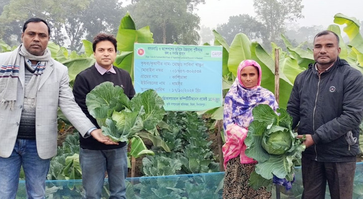 বিরলে সাথী ফসল চাষ করে সফল সাবিনা