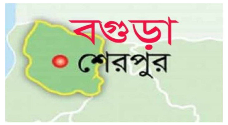 বগুড়ার শেরপুরে সড়ক দুর্ঘটনায় ব্যবসায়ীর মৃত্যু