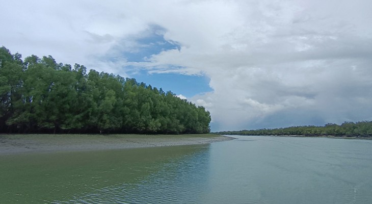 সুন্দরবনের কলমতেজীর পর তেইশেরসিলায় আগুন