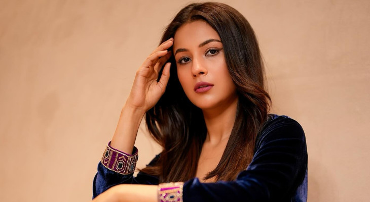 পরকীয়া করতে দিন, সে ঠিকই অপরাধবোধে ভুগবে : শেহনাজ গিল