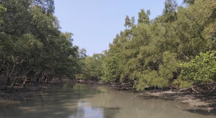 সুন্দরবনে ‘রেড অ্যালার্ট’ জারি  